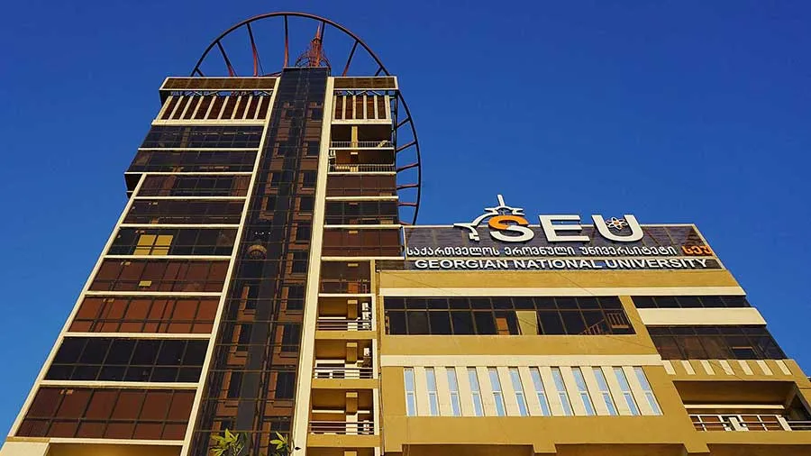 Georgian National Seu University